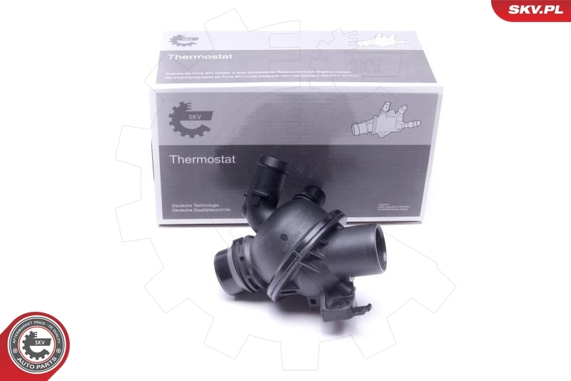 Thermostat, coolant